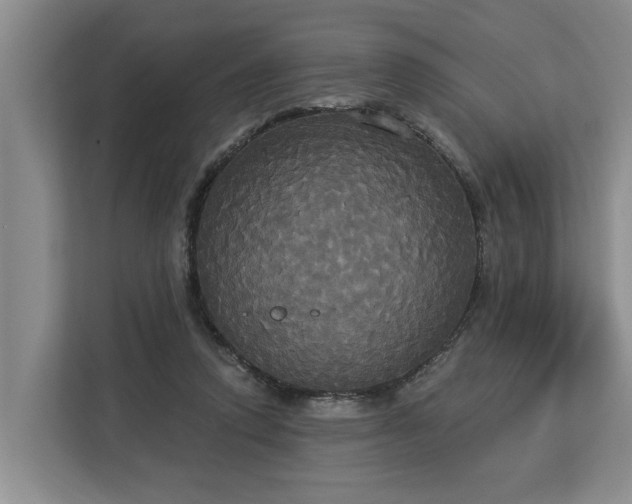 X0000113060354200908281139