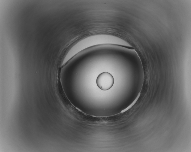 X0000113060356200908281139