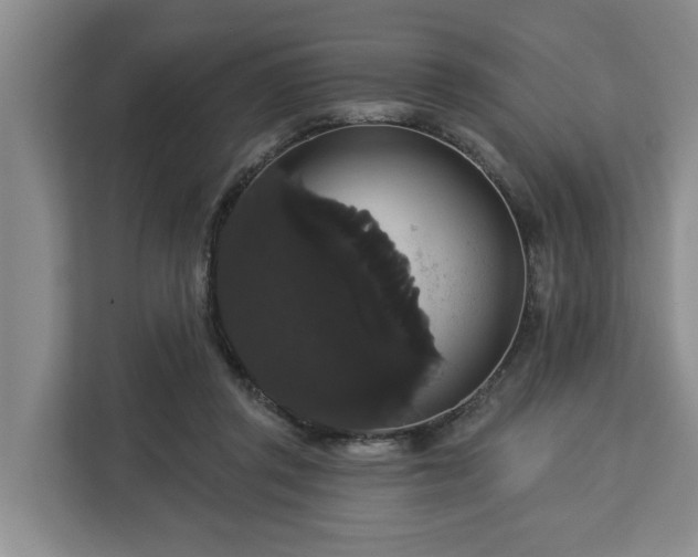 X0000113060357200908281139