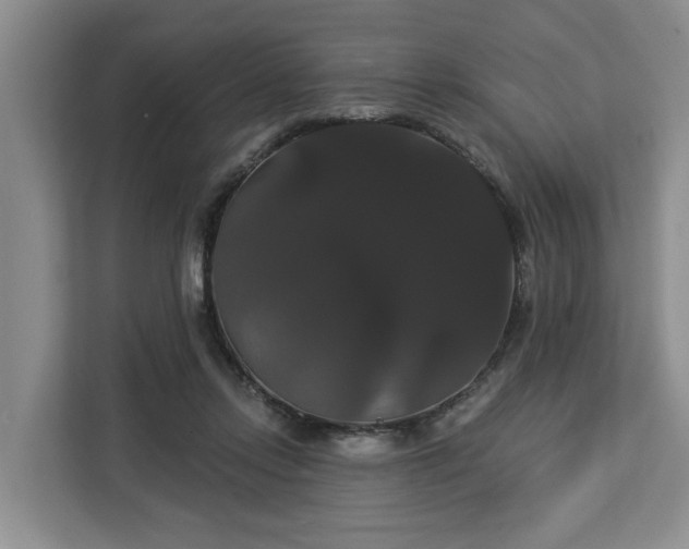 X0000113060358200908281139