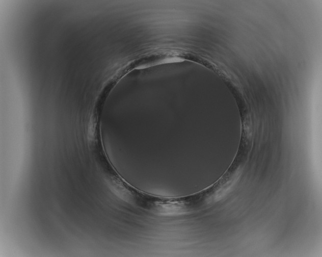 X0000113060359200908281139