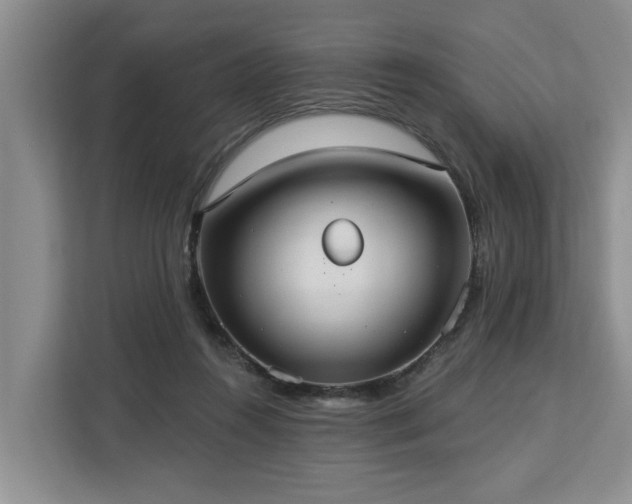 X0000113060360200908281139