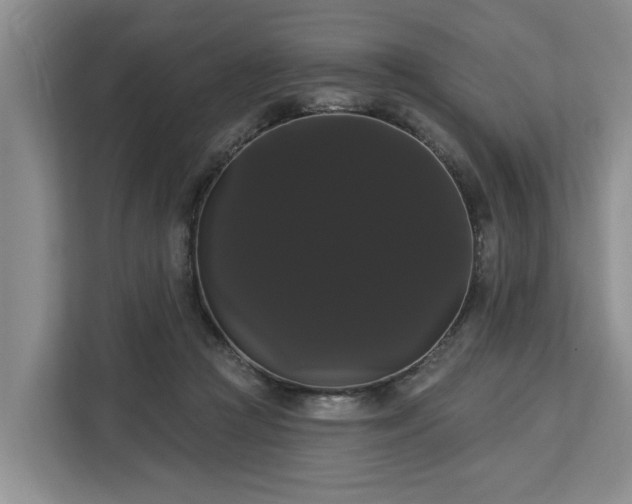 X0000113060361200908281139