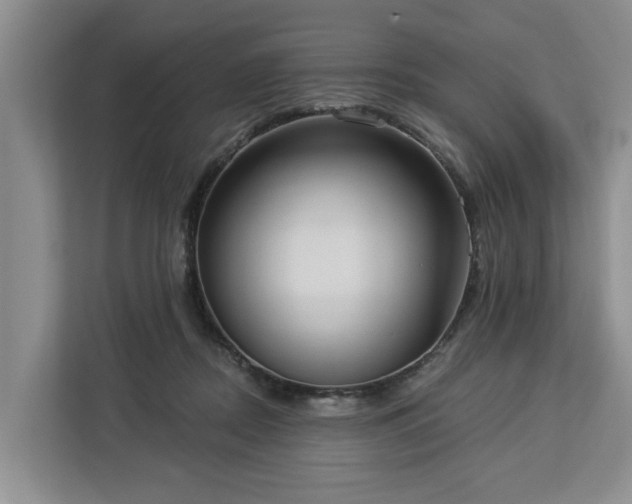 X0000113060362200908281139
