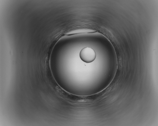 X0000113060364200908281139