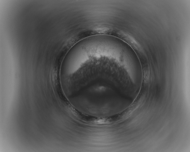 X0000113060365200908281139