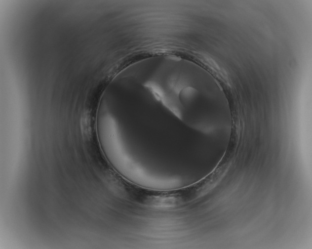 X0000113060366200908281139