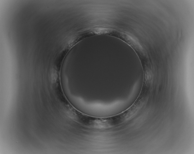 X0000113060367200908281139