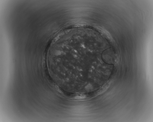 X0000113060369200908281139