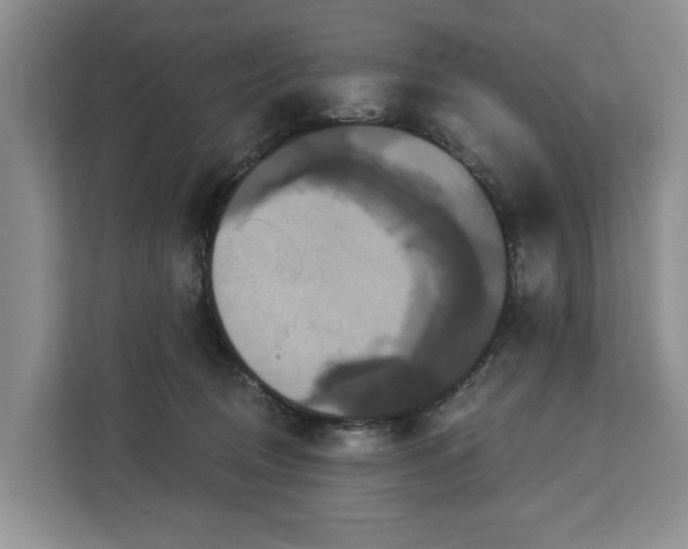 X0000113060370200908281139