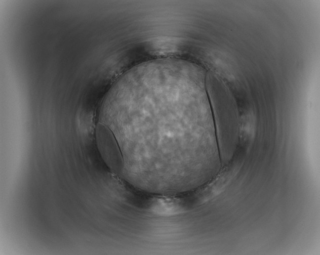 X0000113060372200908281139