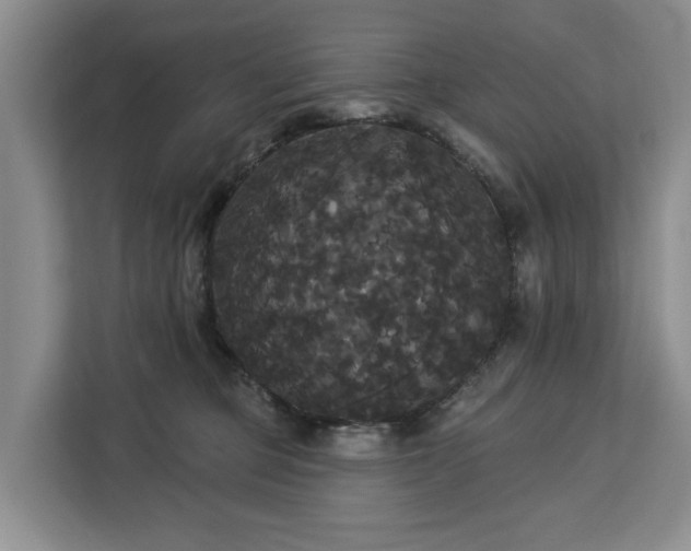 X0000113060373200908281139