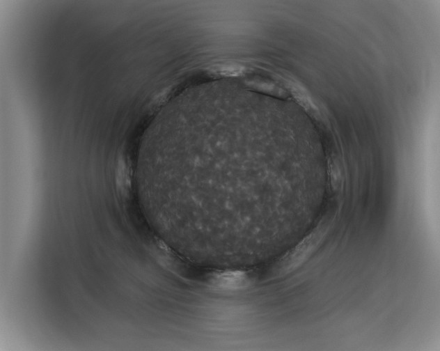 X0000113060374200908281139