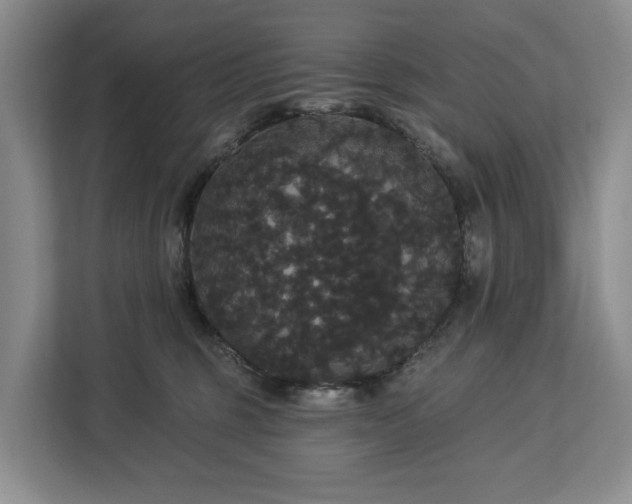 X0000113060375200908281139
