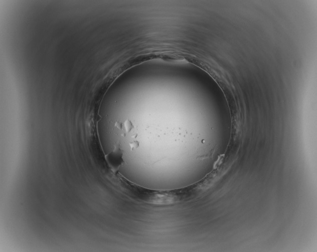 X0000113060376200908281139