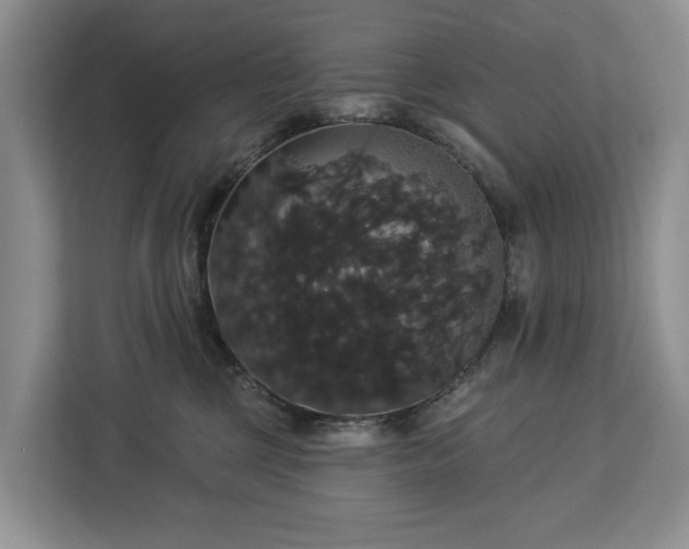 X0000113060377200908281139