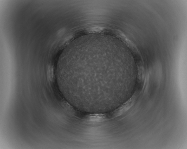 X0000113060378200908281139