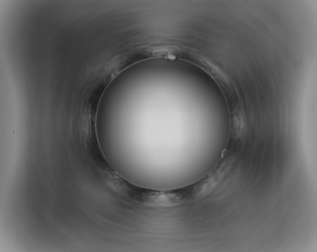 X0000113060379200908281139