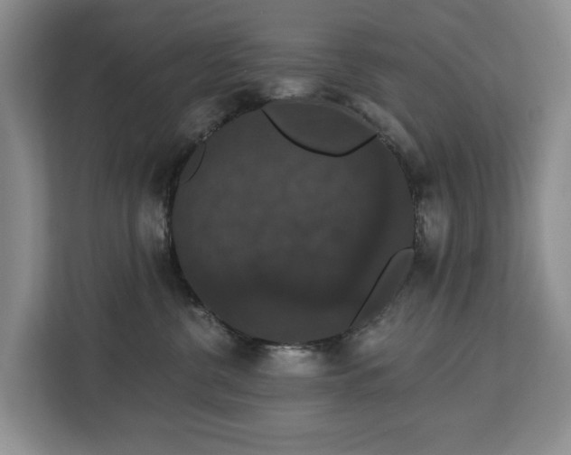 X0000113060380200908281139