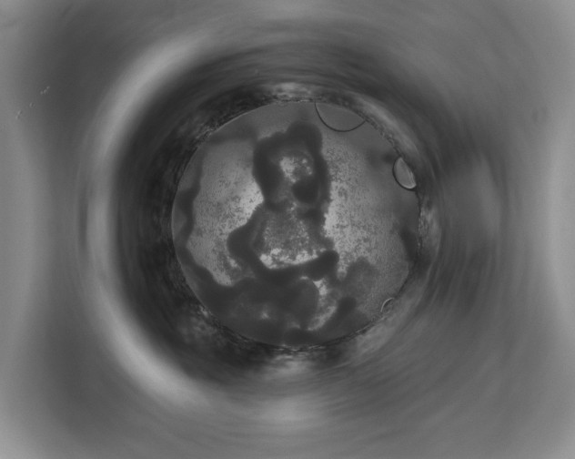 X0000113060381200908281139