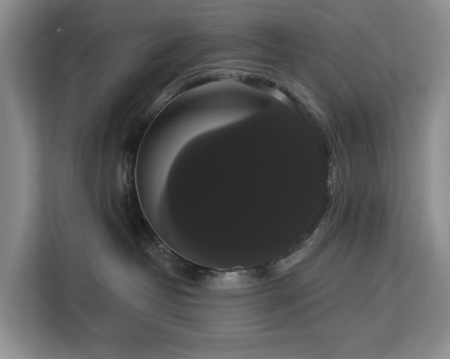 X0000113060382200908281139