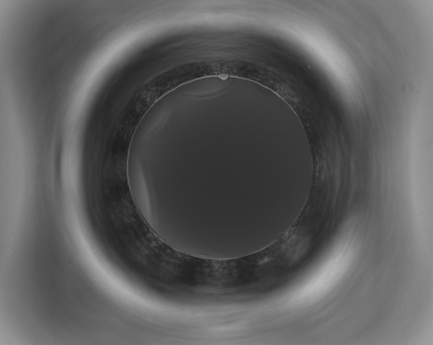 X0000113060383200908281139