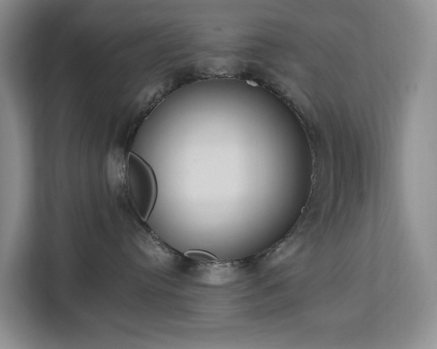 X0000113060384200908281139
