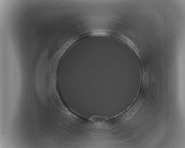 X0000113060385200908281138