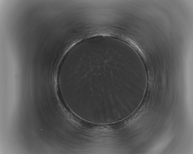 X0000113060386200908281138