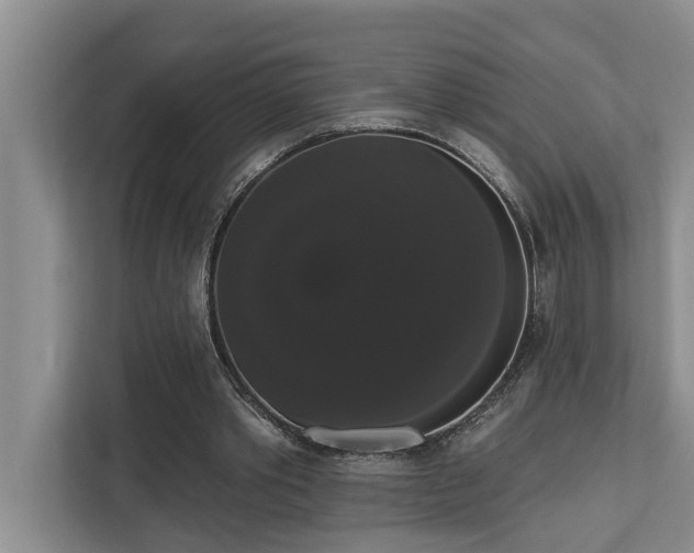 X0000113060389200908281138