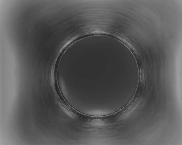 X0000113060390200908281138
