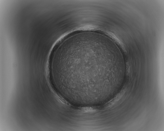 X0000113060392200908281138