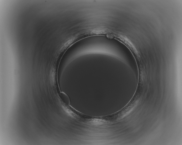 X0000113060393200908281138
