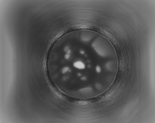 X0000113060394200908281138