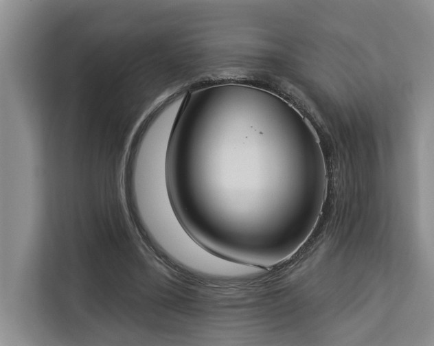 X0000113060395200908281138
