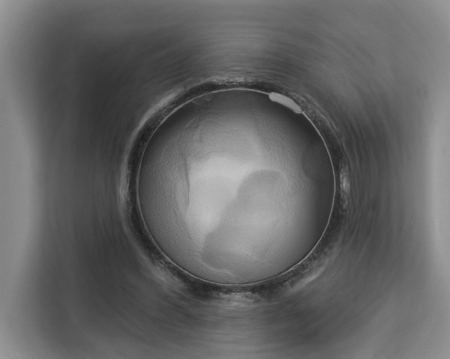 X0000113060396200908281138