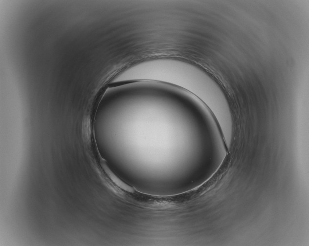 X0000113060397200908281138