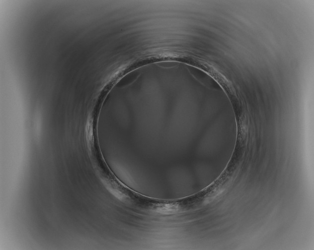 X0000113060398200908281138
