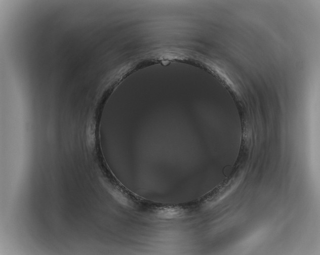 X0000113060402200908281138