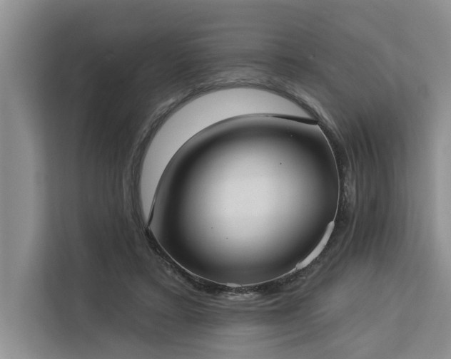 X0000113060403200908281138