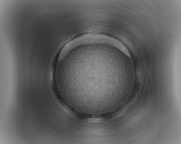 X0000113060404200908281138