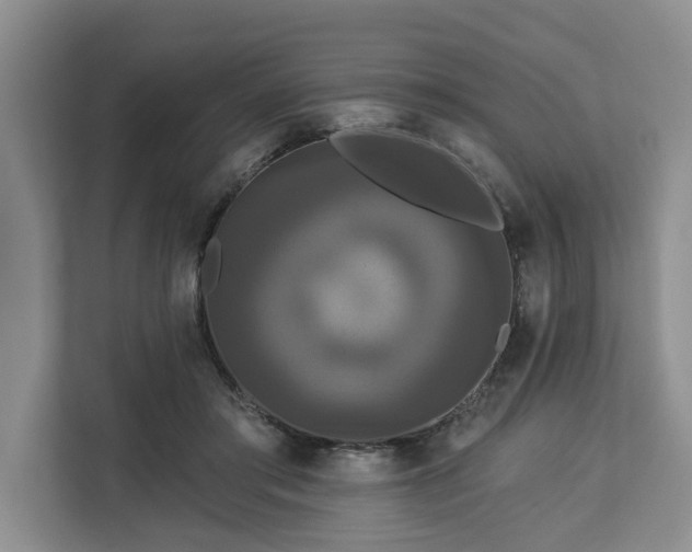 X0000113060405200908281138