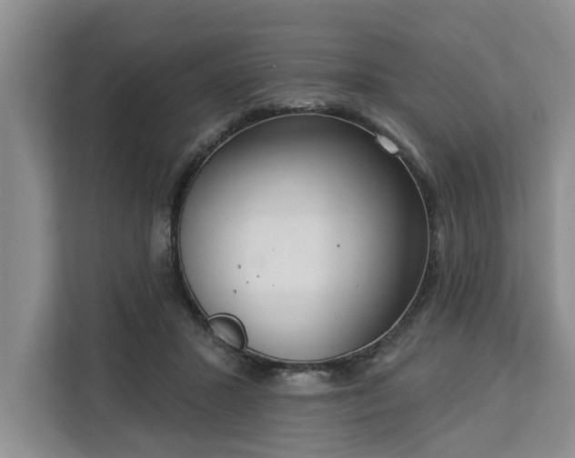 X0000113060407200908281138