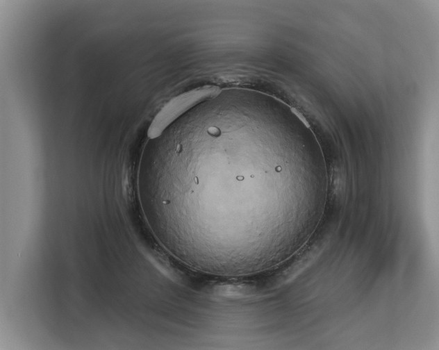 X0000113060408200908281138