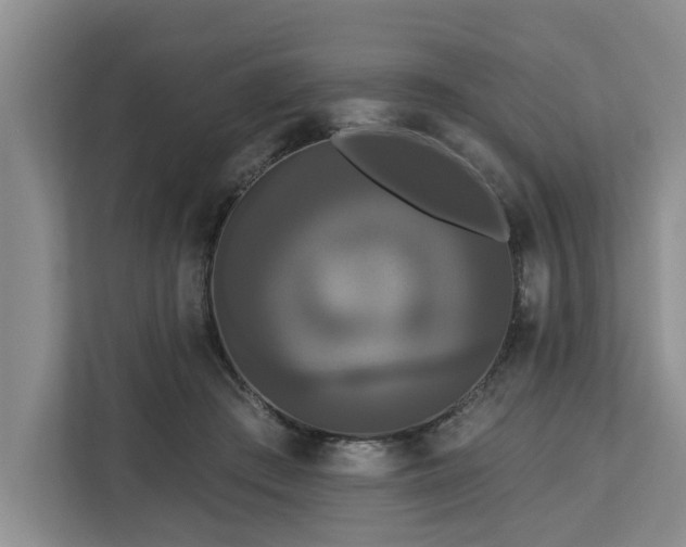 X0000113060409200908281138