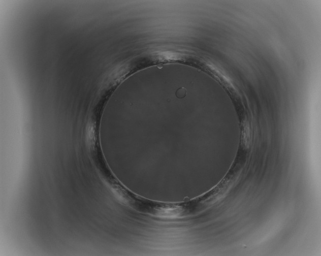 X0000113060410200908281138