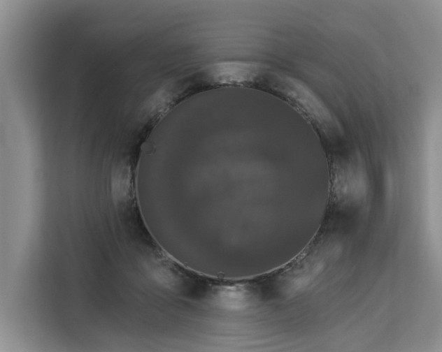 X0000113060411200908281138