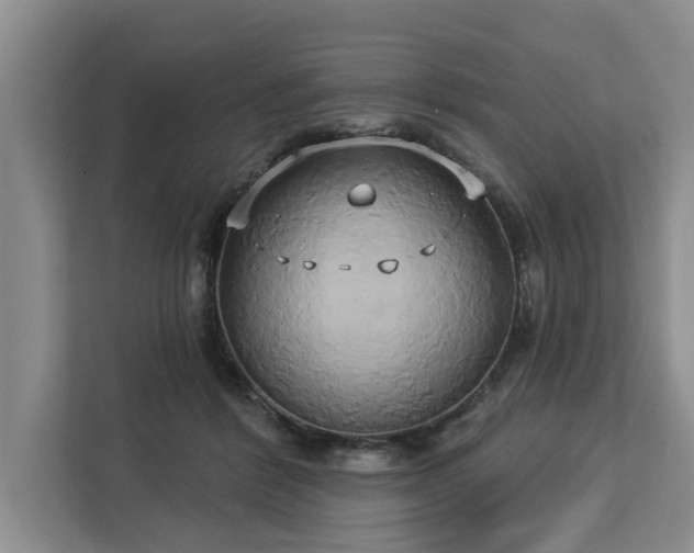 X0000113060412200908281138
