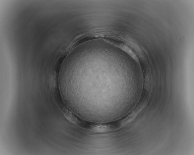 X0000113060413200908281138