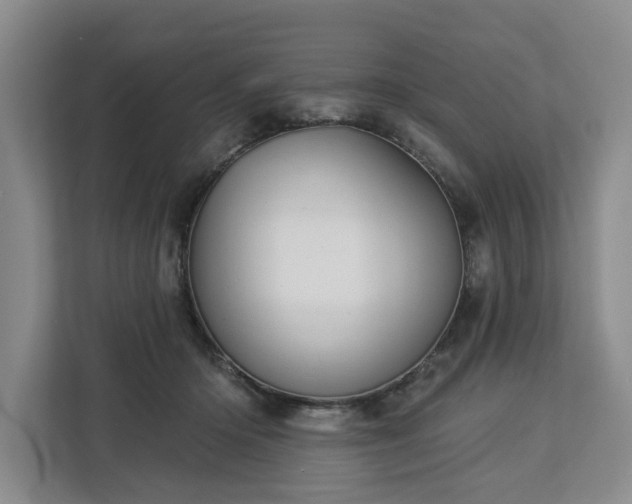 X0000113060414200908281138
